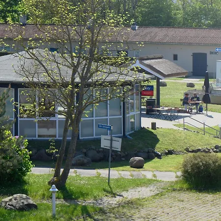 Am Gutspark Drankse Sonnenliebe *